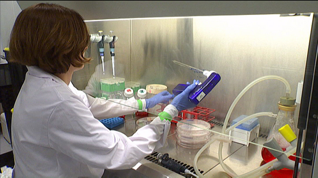 Identifican las claves del desarrollo del tumor cerebral más agresivo