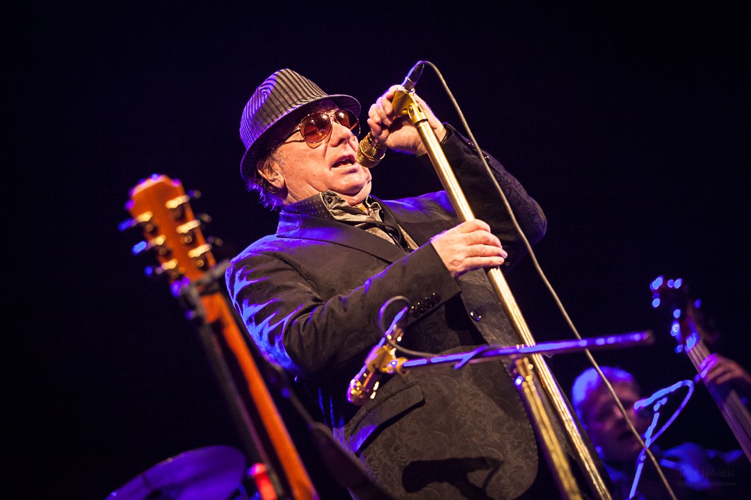 Van Morrison. Argazkia: Tom Hagen