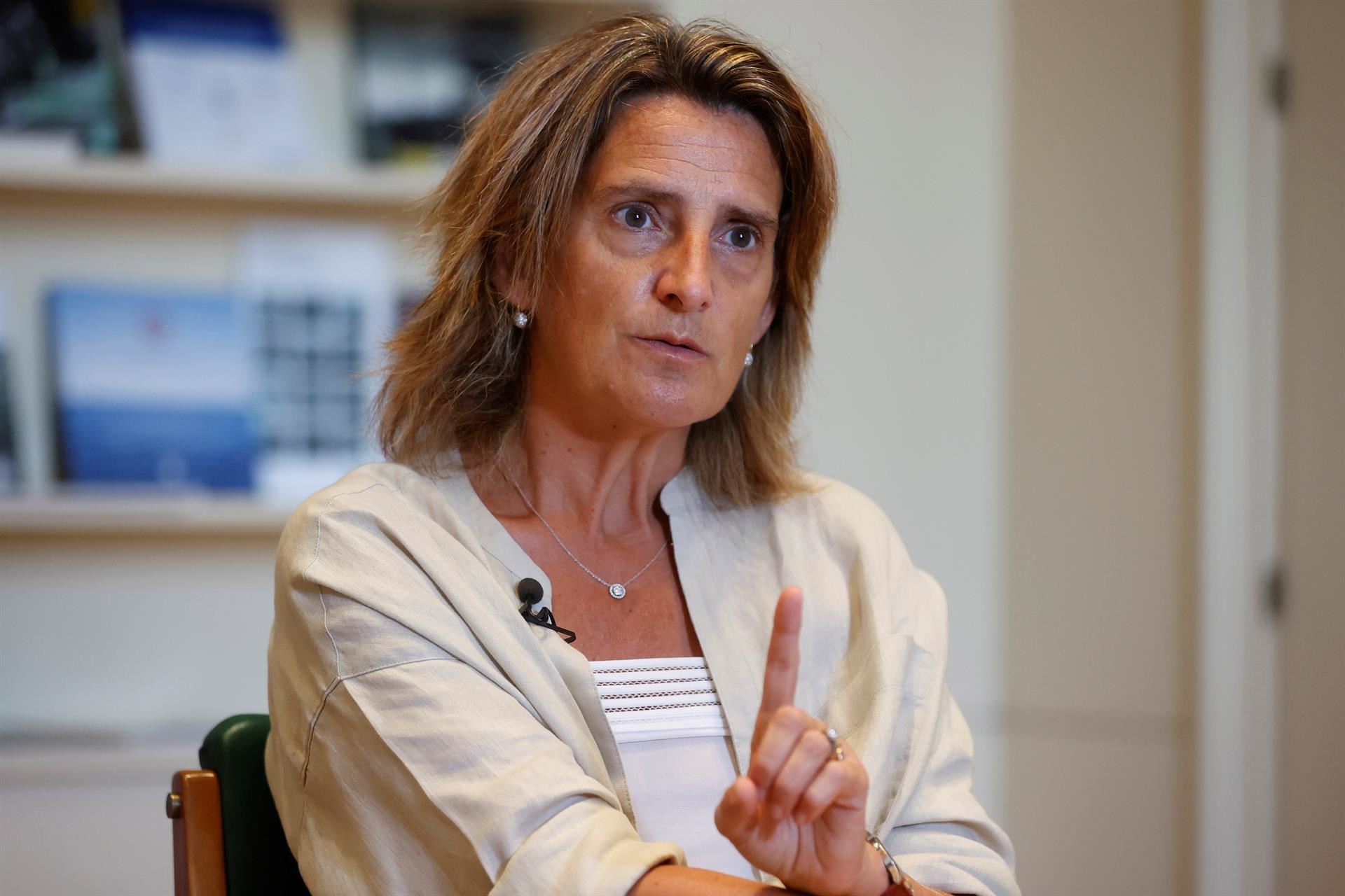Teresa Ribera, en una imagen de archivo. Foto: EFE