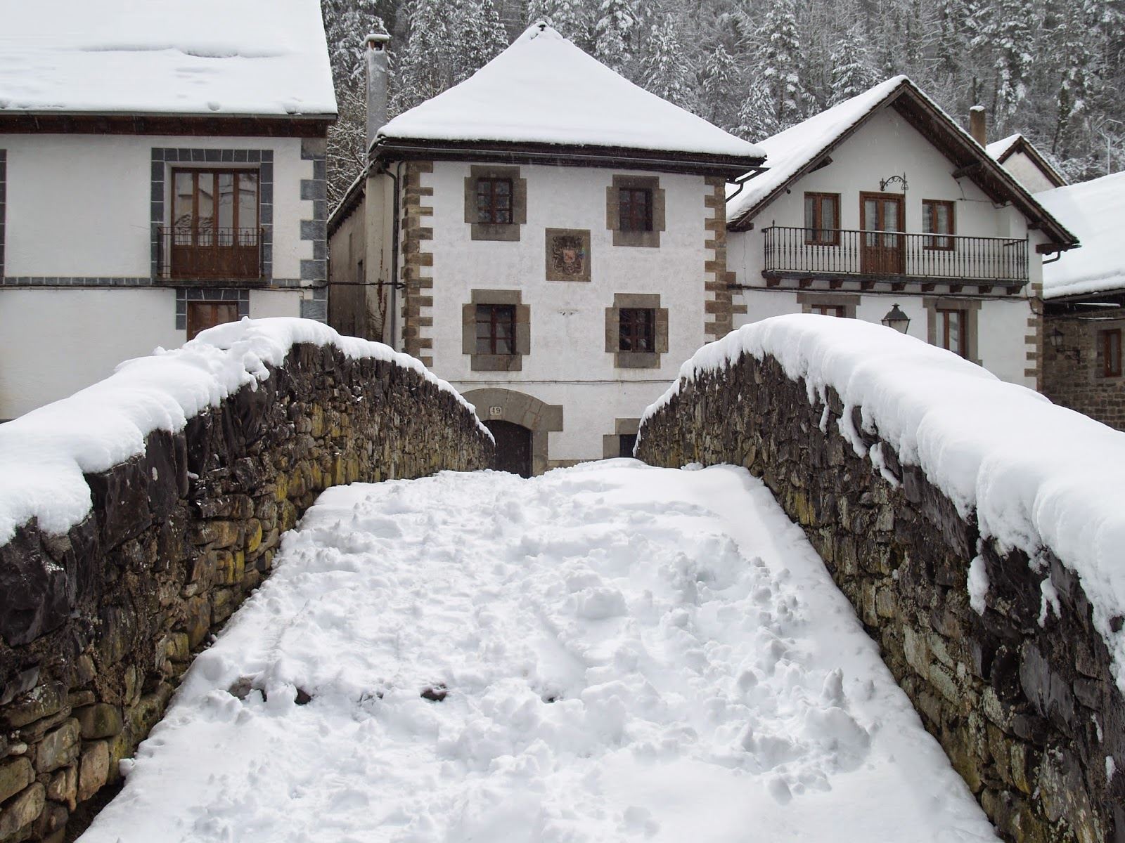 Otsagabia. German Gorraiz