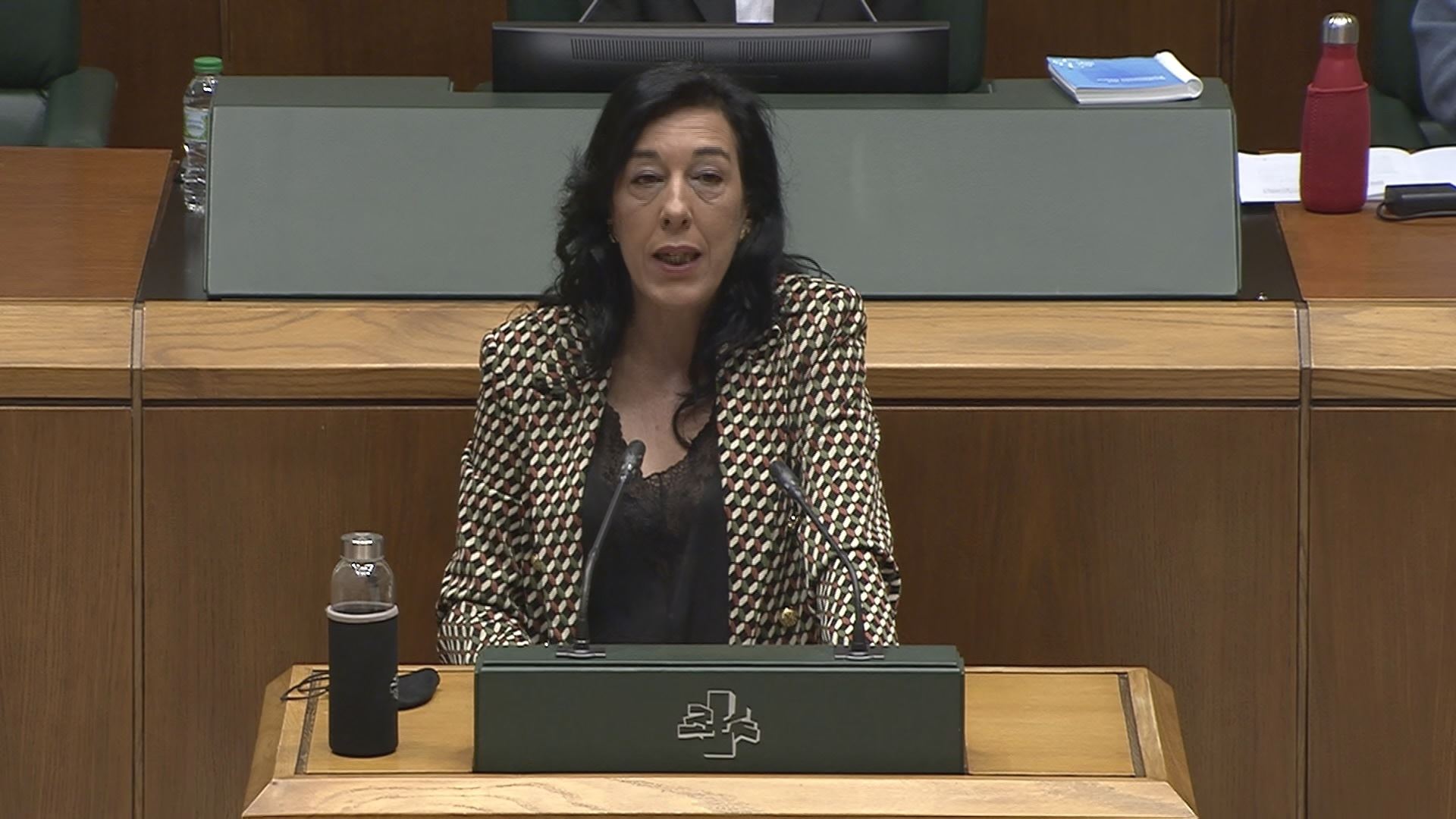 Amaia Martinez (Vox) en su intervención hoy en la cámara vasca. EITB