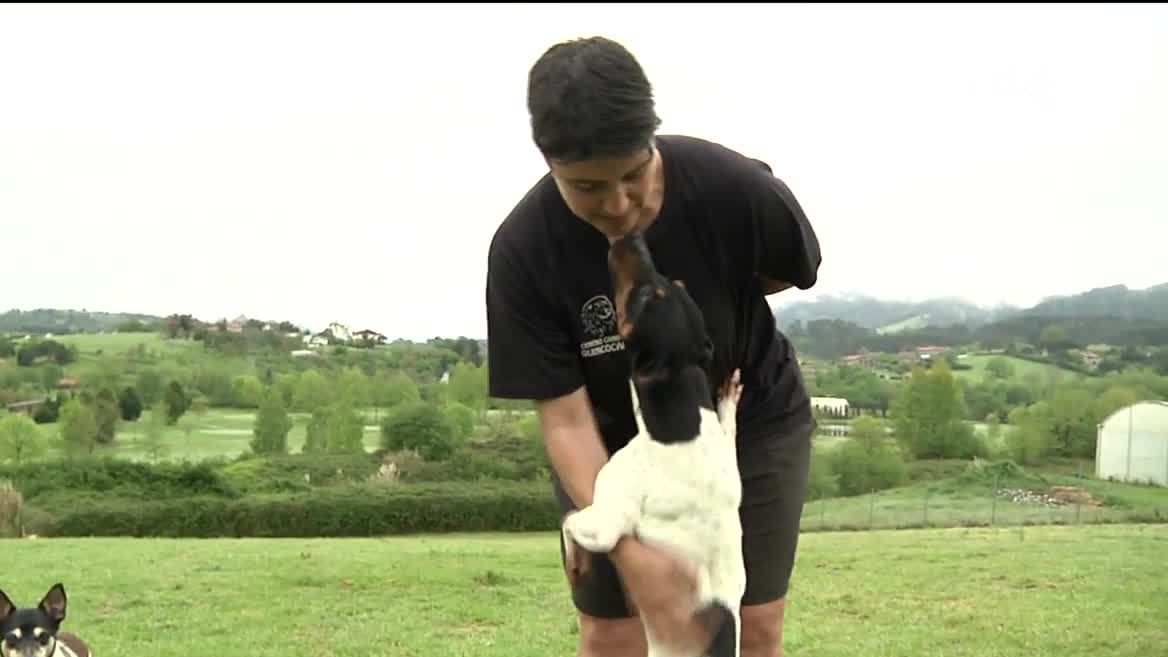 Txakurrentzako hotela. EITB Mediaren bideo batetik ateratako irudia.