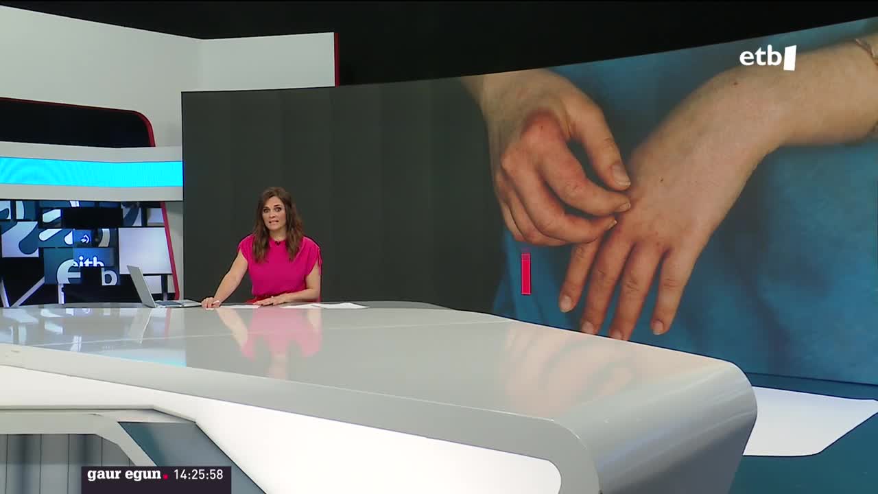 Hazteriaren kontrako protokoloa indartu behar izan dute Euskal Autonomia Erkidegoan, kasuak izugarri ugaritu direlako, Bizkaian batez ere. Adituek ez dakite zergatik ari diren kasuak areagotzen. Adi egoteko eskatu diete lehen arretako zerbitzuei.