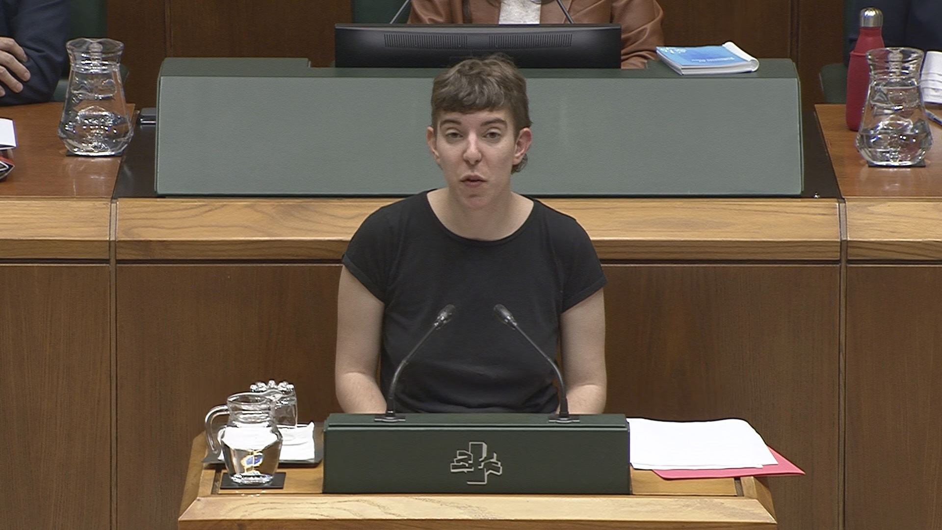 Itziar Guerendiain, en su defensa de la ILP.