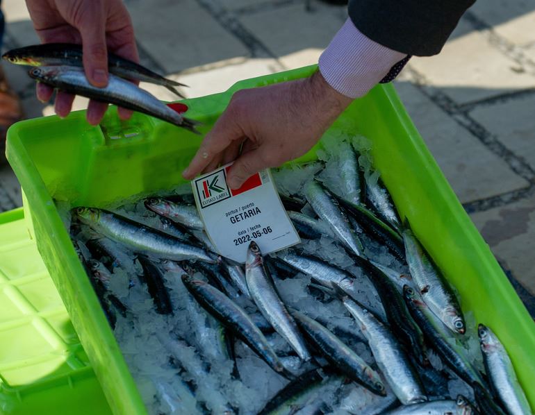 Con lo capturado hasta la fecha, desde el Gobierno Vasco se hace un balance satisfactorio