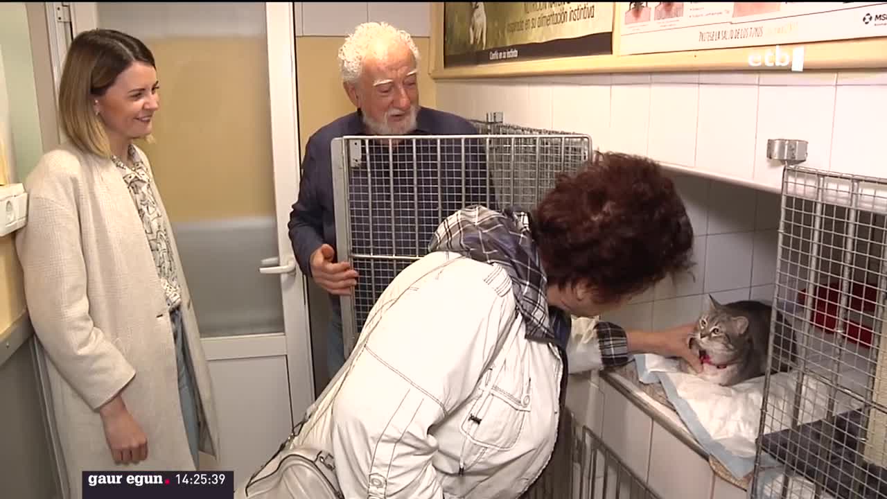 Ukrainako gerratik ihesi gurera datozen herritarren txakurrek edota katuek berrogeialdia egin behar dute, amorru gaitzaren eramaile izan baitaitezke. Gurean, desagertuta dago gaixotasun hori etxeko animalien artean, ez ordea Europa Ekialdean; oso kutsakorra da, eta % 100ean hiltzailea da.