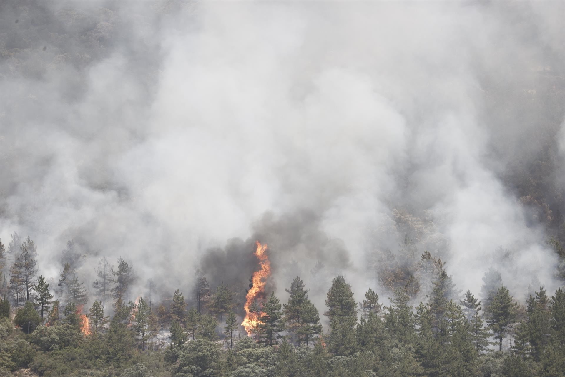 Sutea Leiren. Argazkia: EFE