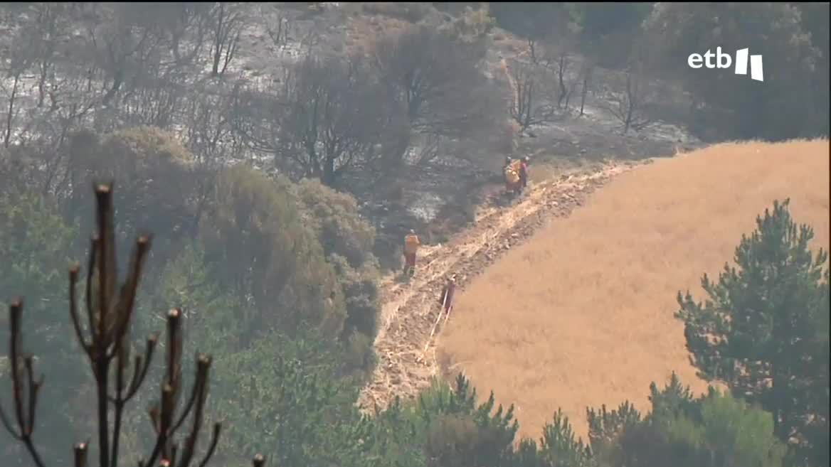 Bomberos trabajando.