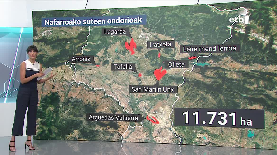 Nafarroako suteak