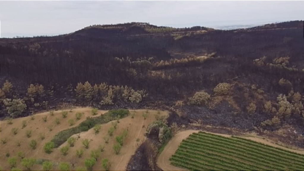 Sutea Uxuen eta San Martin Unxen. Sergio Perezen bideo batetik ateratako irudia.