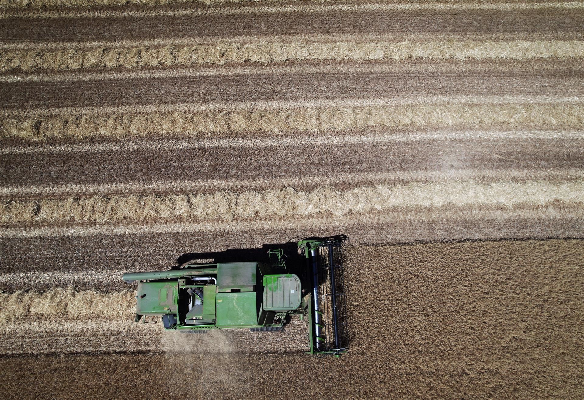 Una cosechadora en una parcela de cereal en Navarra. Foto de archivo: EFE