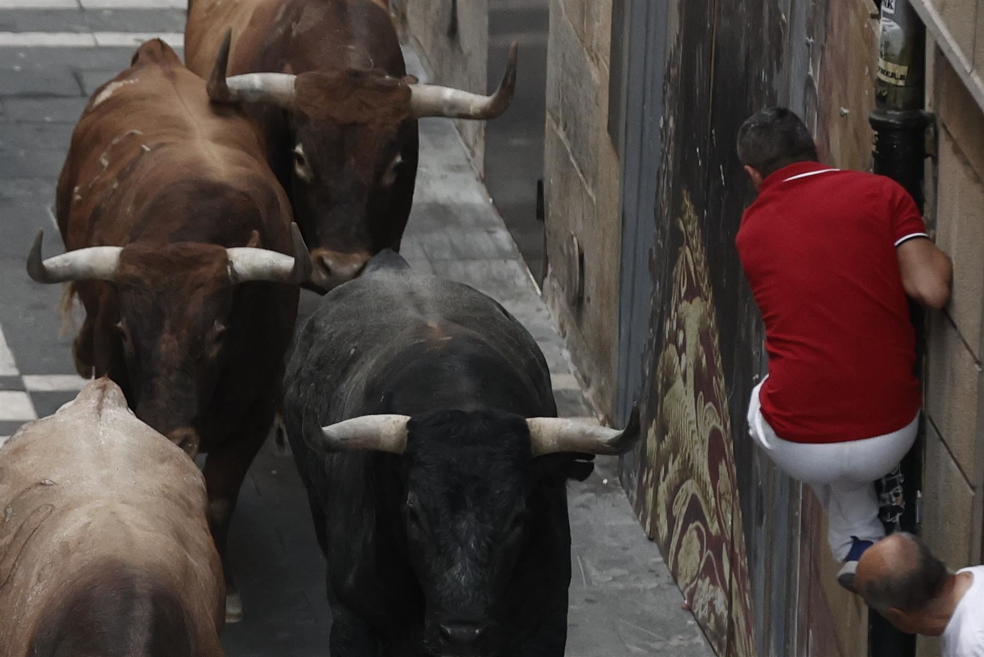 Encierro (Foto: EFE)