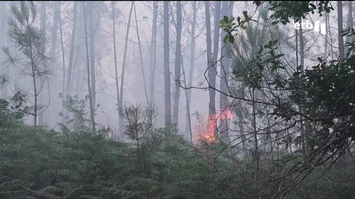 Los bomberos siguen con las labores de extinción. Han conseguido que las llamas no se extiendan, pero las malas condiciones meteorológicas están dificultando la tarea.