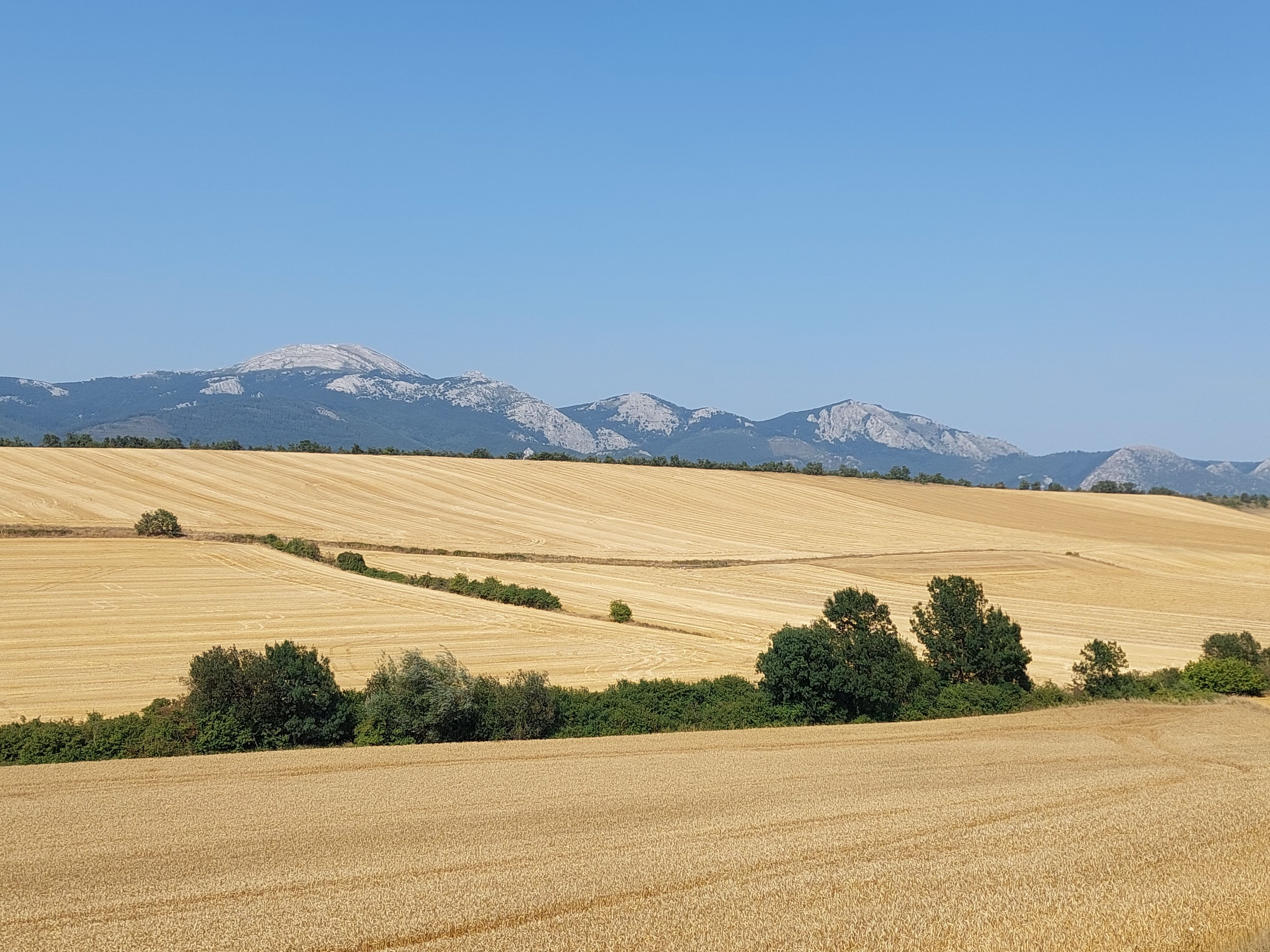 San Millán (Álava).