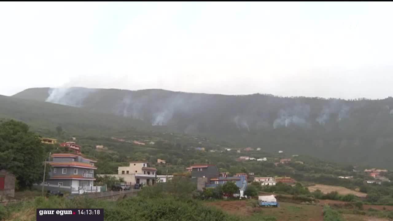 Tenerifeko sutea. EITB Mediaren bideo batetik ateratako argazkia.