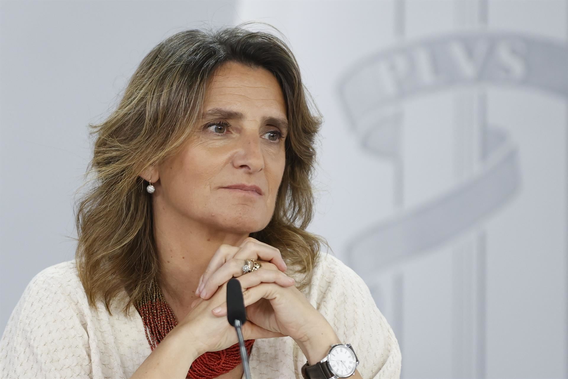 Teresa Ribera, en una foto de archivo. Foto: EFE.