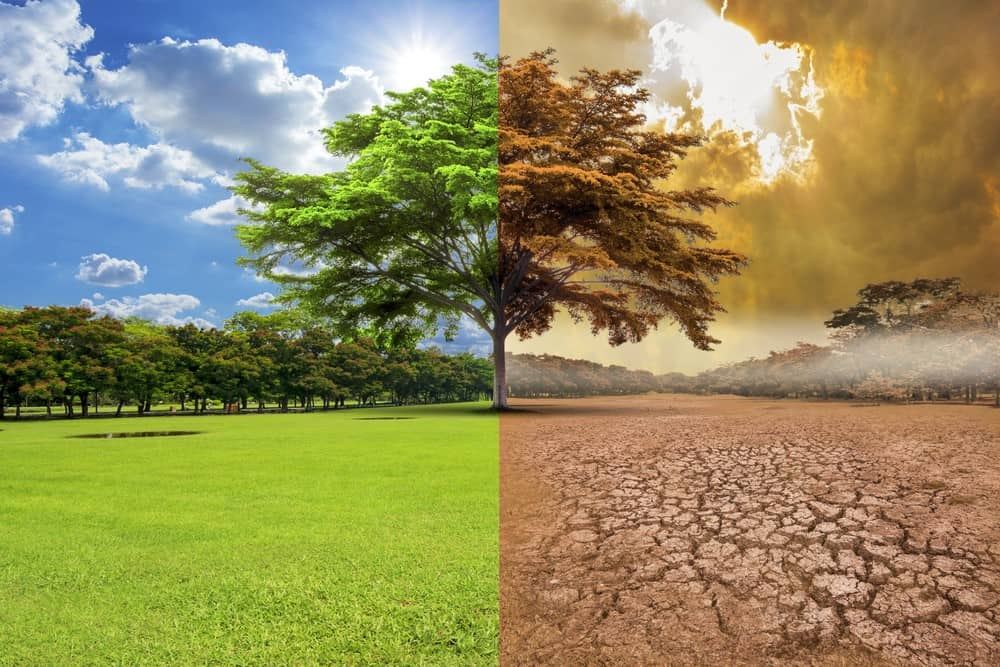 Ley que aborda el cambio climático en Euskadi