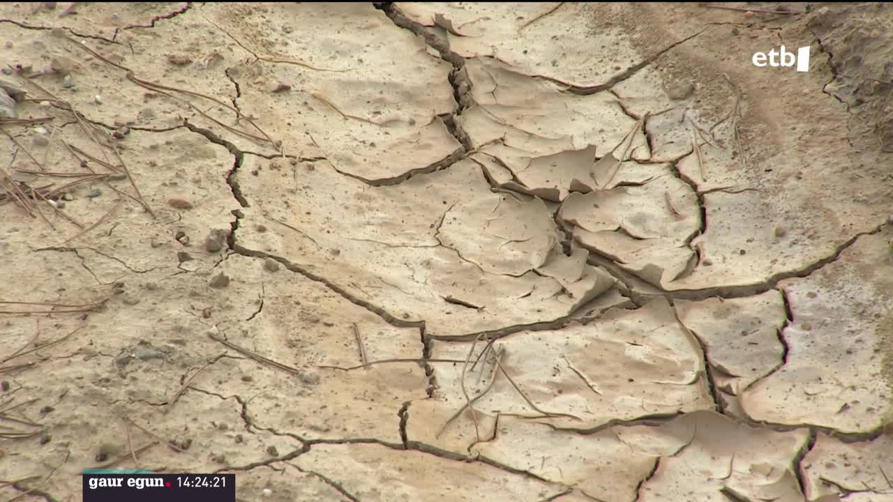 Tenperatu altuei eta euri faltari, turismoak eragindako kontsumo igoera gehitu zaio, eta gero eta zabalagoak diren plantazioek ere, ureztatzea behar dute.