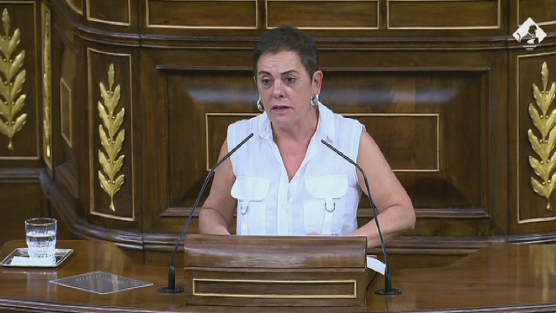 Mertxe Aizpurua. Diputatuen Kongresuko bideo batetik ateratako irudia.