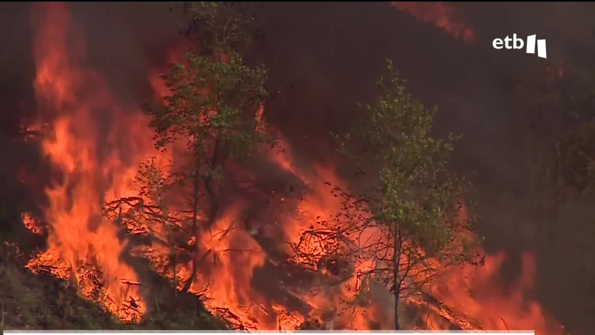 El fuego se ha desatado sobre las 15:00 horas de este domingo, y se temía que podía obligar a desalojar a algunos vecinos, aunque por el momento no ha sido necesario. Los bomberos continúan trabajando, y la situación ha mejorado en las últimas horas.