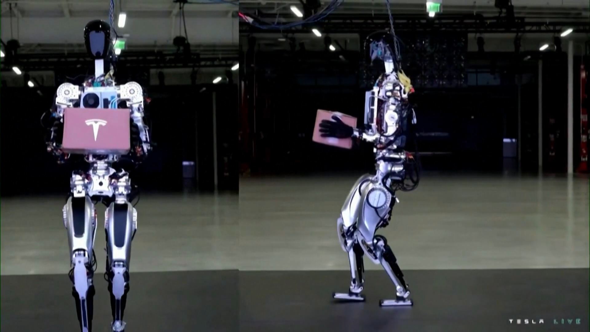 Robot Optimus