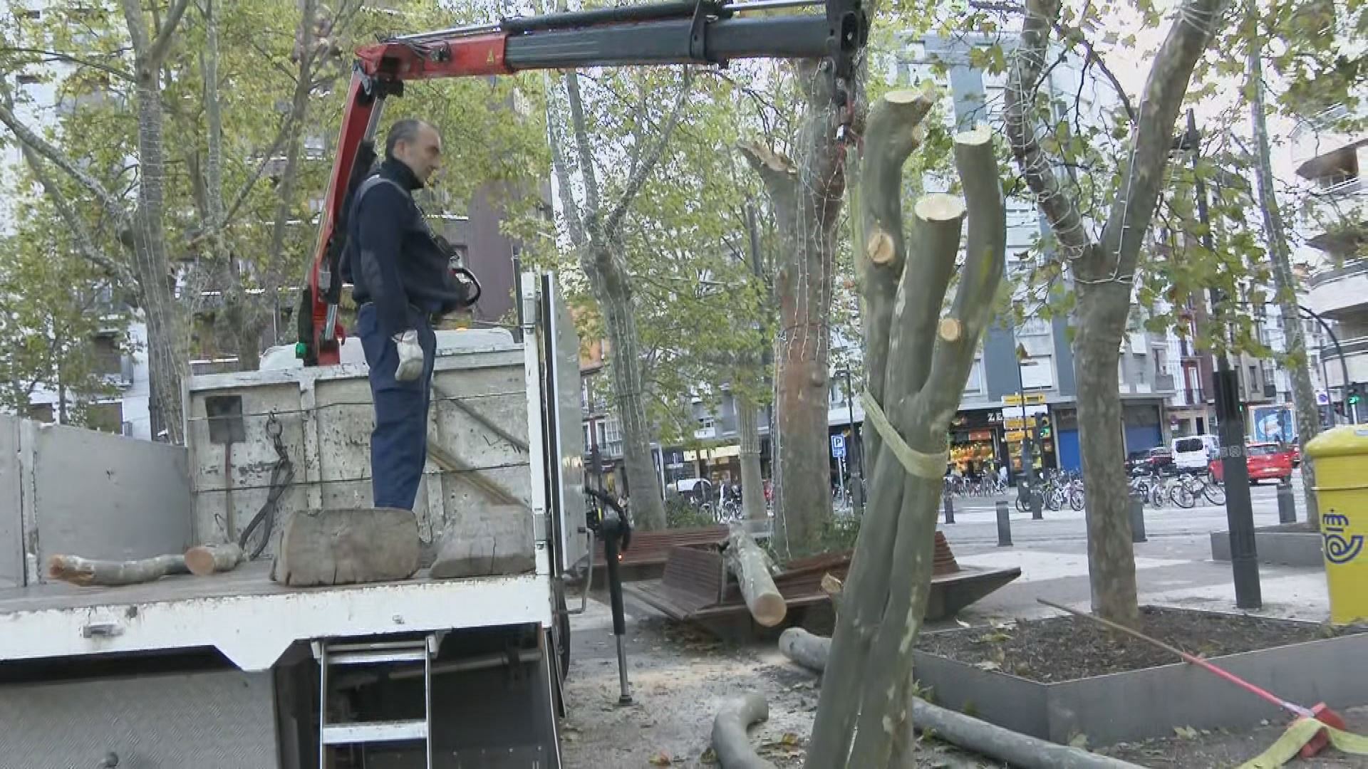 Enborrak jasotzen Gasteizen. EITB Mediaren bideo batetik ateratako irudia.