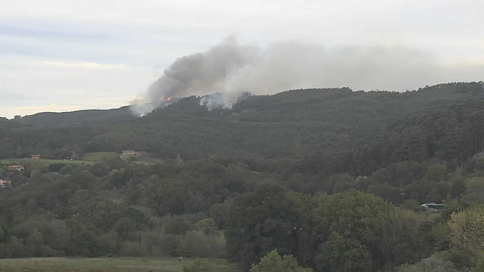 Berangoko sutea. EITB Mediaren bideo batetik atertako irudia.
