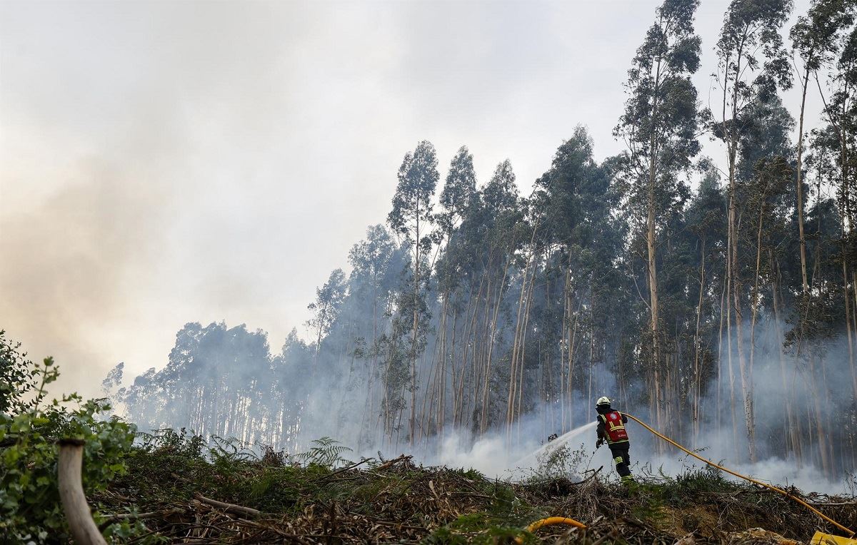 Incendio-Berango-Bizkaia-EFE