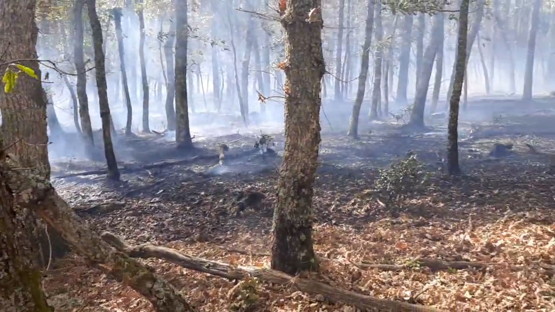 20221029160313_gorbea-sutea-incendio-arabako-suhiltzaileak_