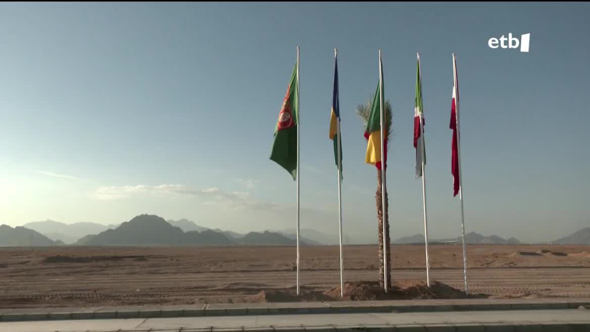 Munduak klima aldaketari buruz eztabaidatuko du COP27an, planeta gero eta gehiago berotzen ari dela. Mercedes Maroto-Valer deskarbonizazioan eta energian aditua den gasteiztarra Egipton egongo da NBErentzat aholkulari lanetan.