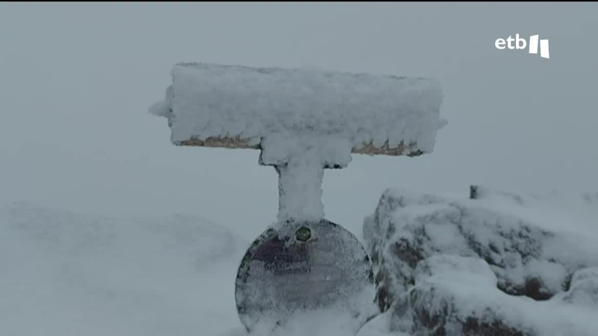 nieve