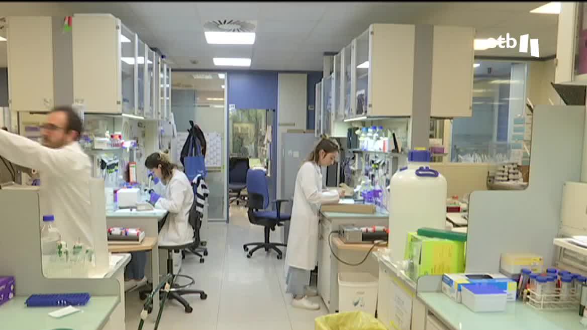 Los científicos de la fundación vasca para la ciencia consiguieron más de 40 millones de euros de financiación externa, cifra récord, para llevar adelante 1058 proyectos de investigación, 118 más que en 2021.