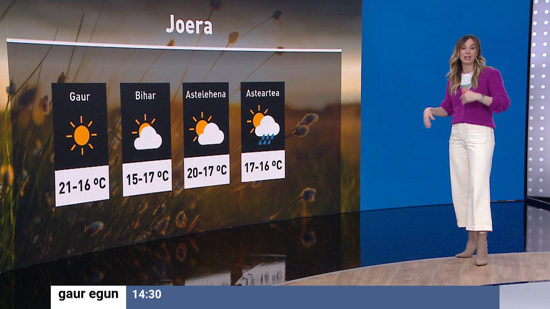 20230218162432_eguraldia-joera_