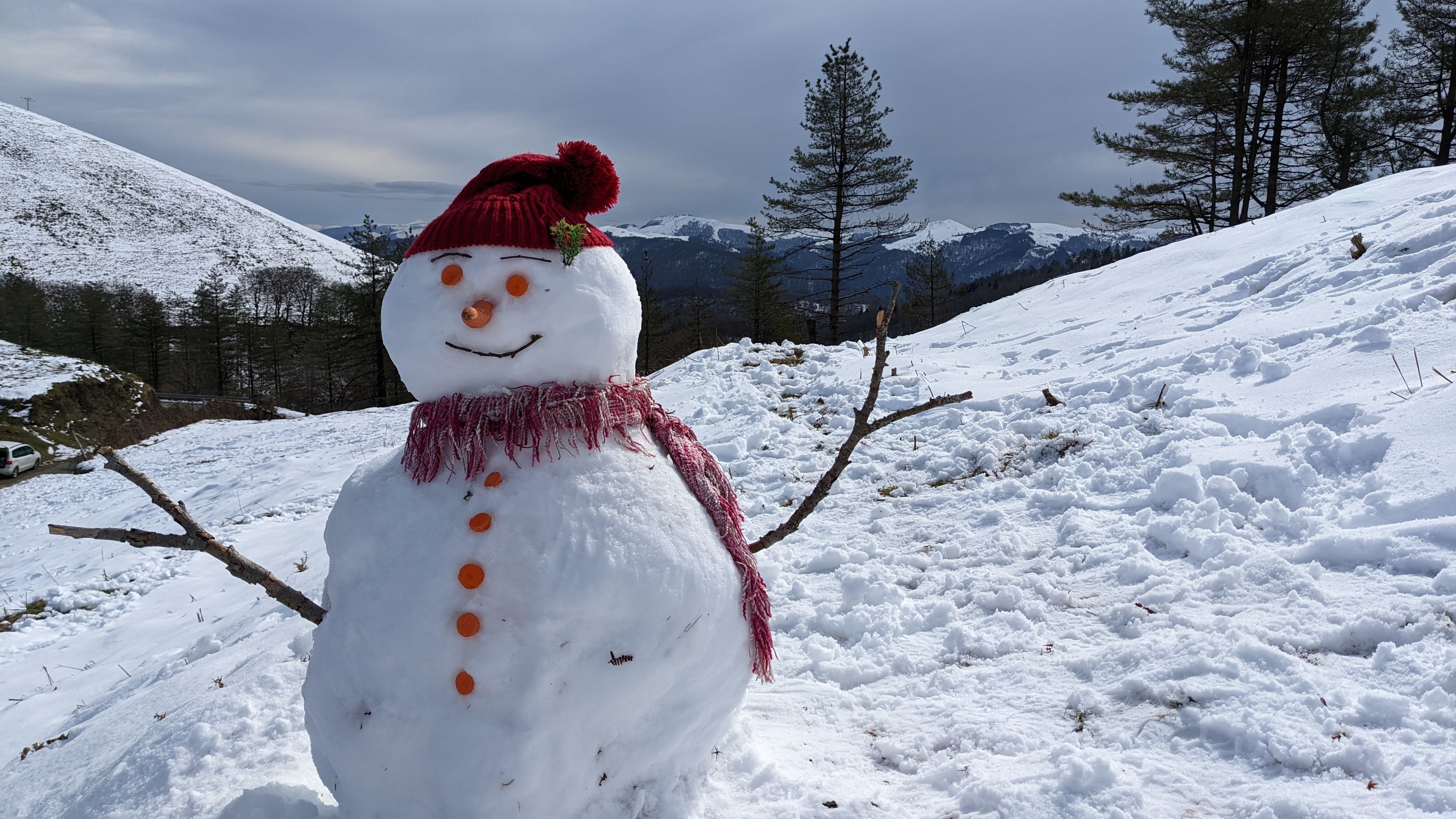 ELURPANPINA elurra nieve negua invierno