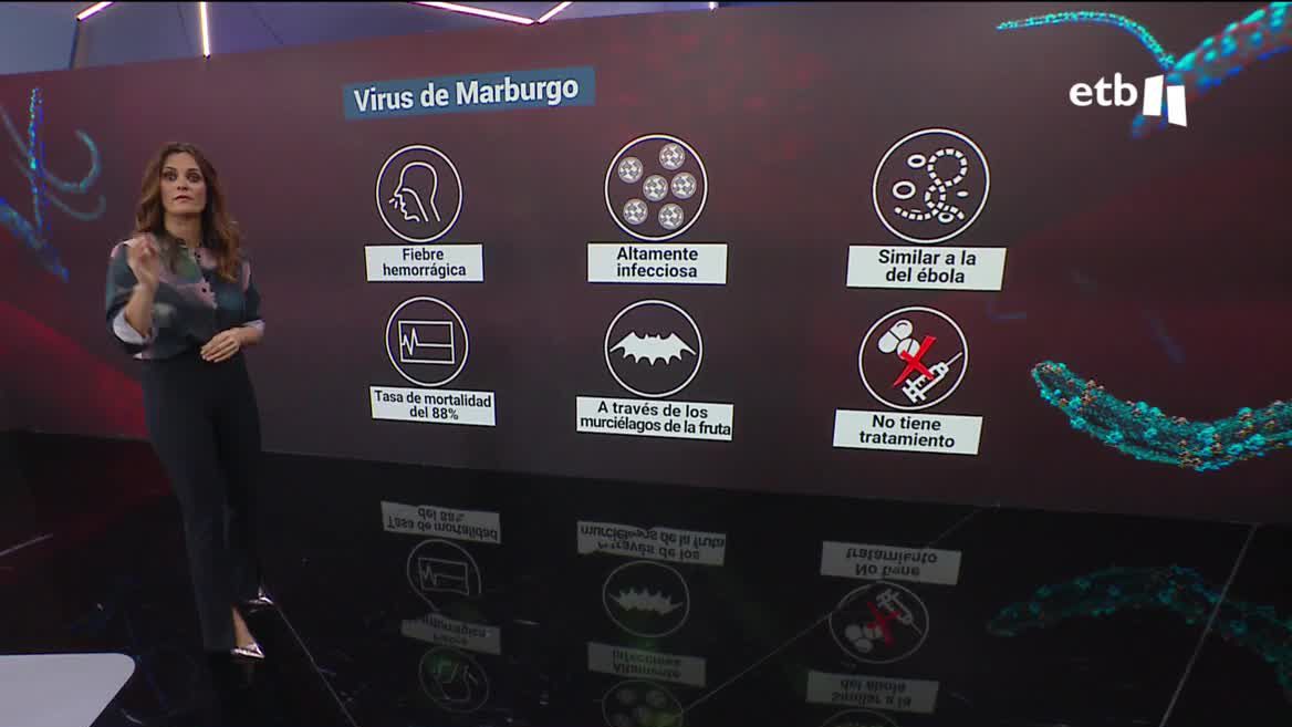 Es una enfermedad muy contagiosa y con una tasa de mortalidad que puede llegar al 88 %. Los síntomas más habituales son fiebre alta, malestar y hemorragias.