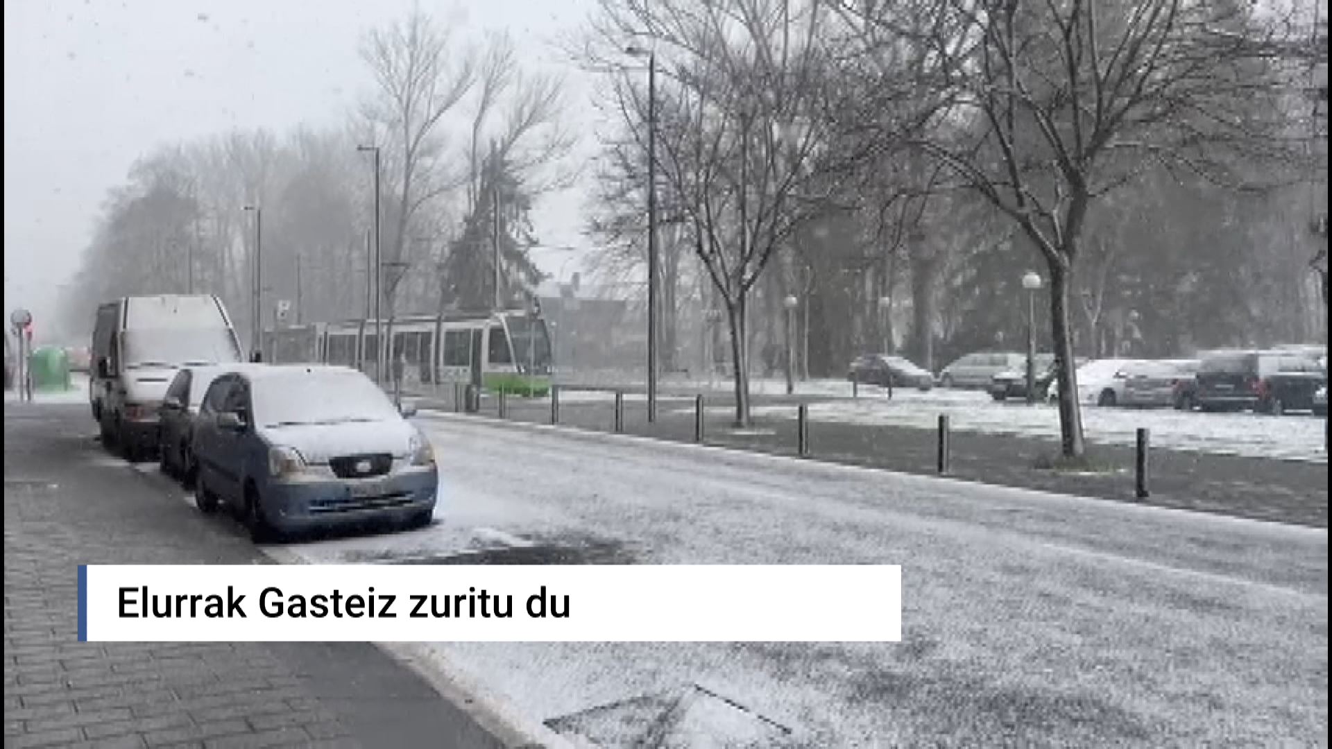 20230227105555_elurra-gasteiz_