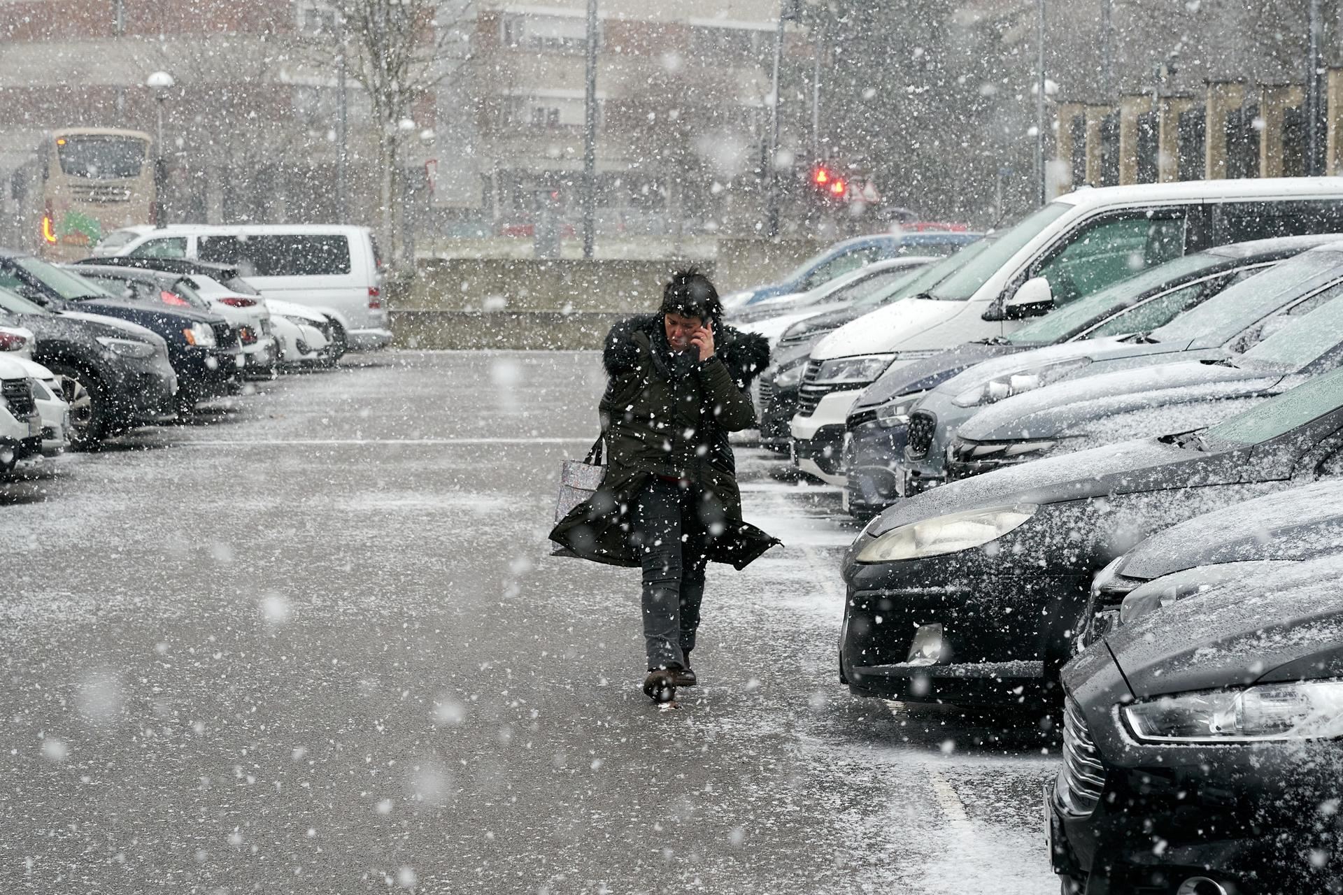 nieve-elurra-gasteiz-efe
