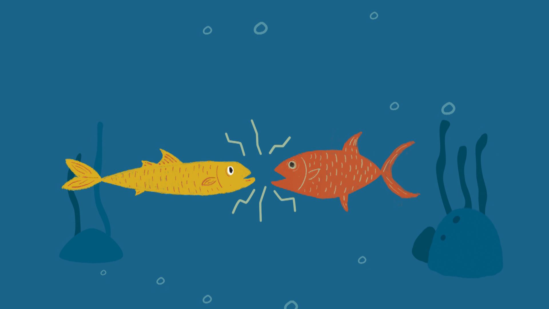 20230301115924_txitxarroa-atuna_