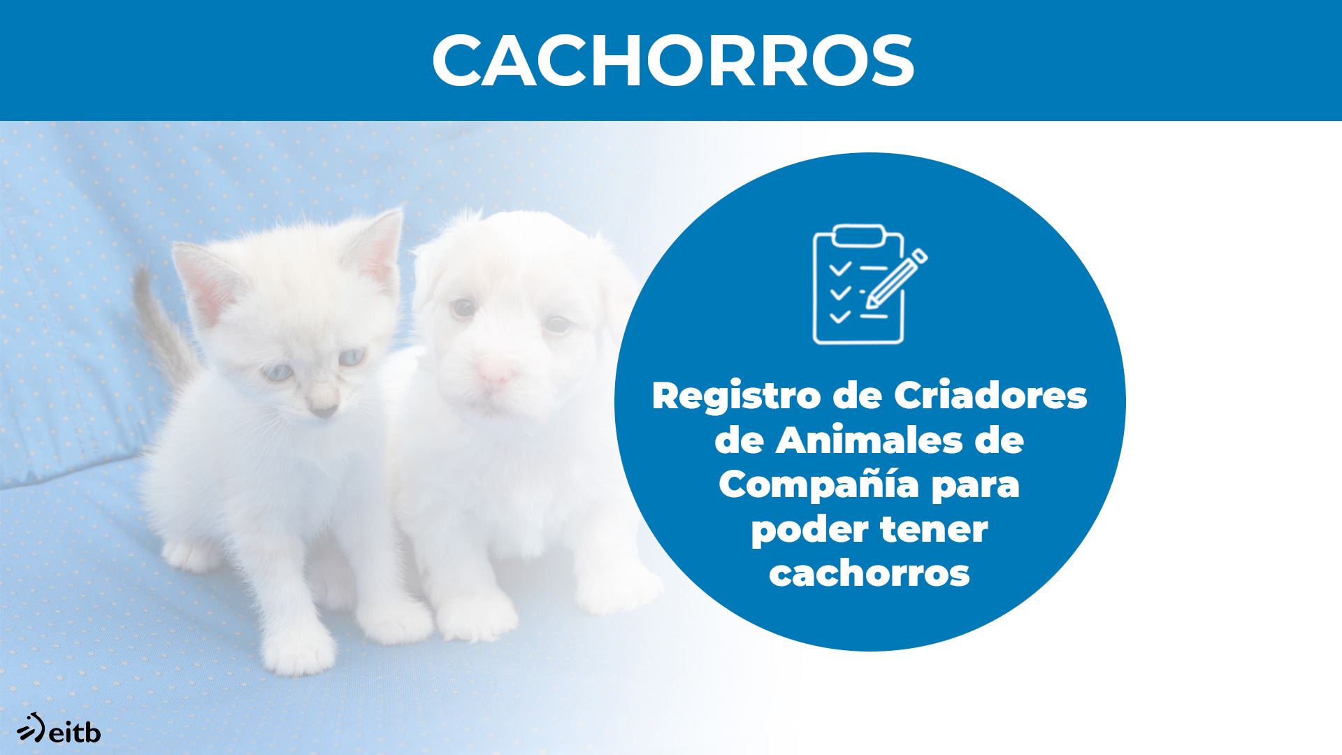 dls_animaliak_cachorros_es