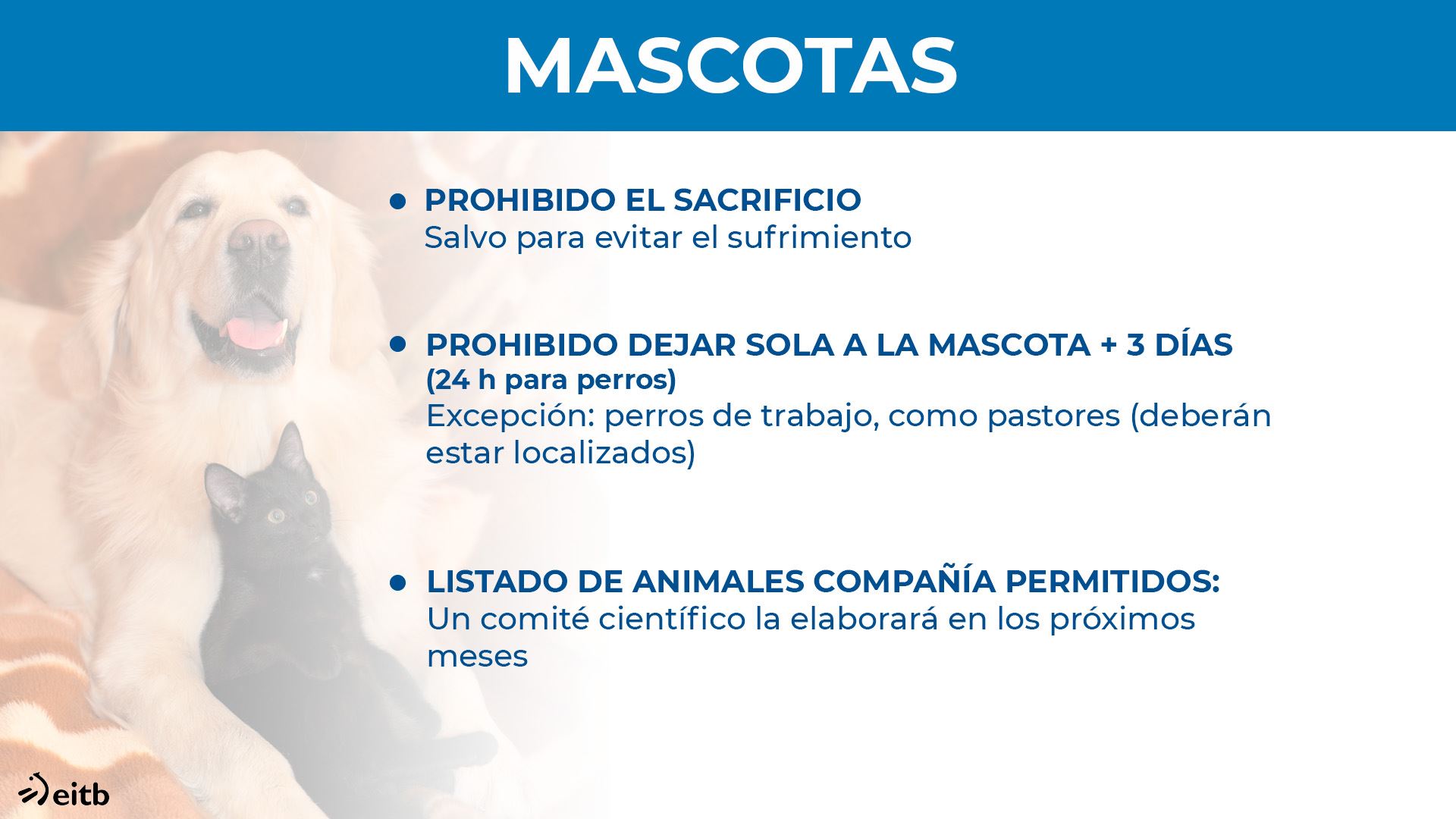dls_animaliak_mascotas_es