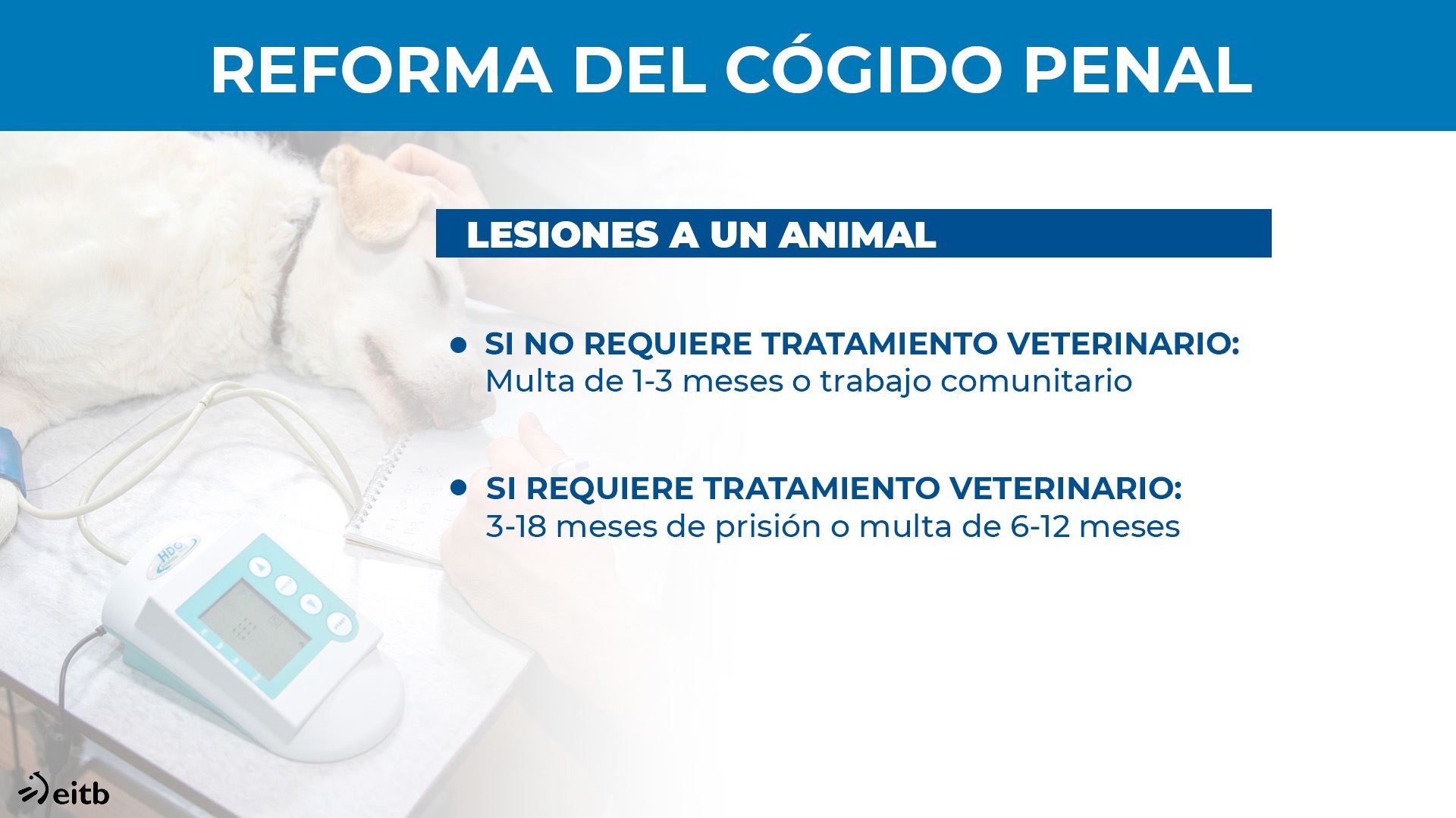 dls_animalien_reforma_codigo1_es