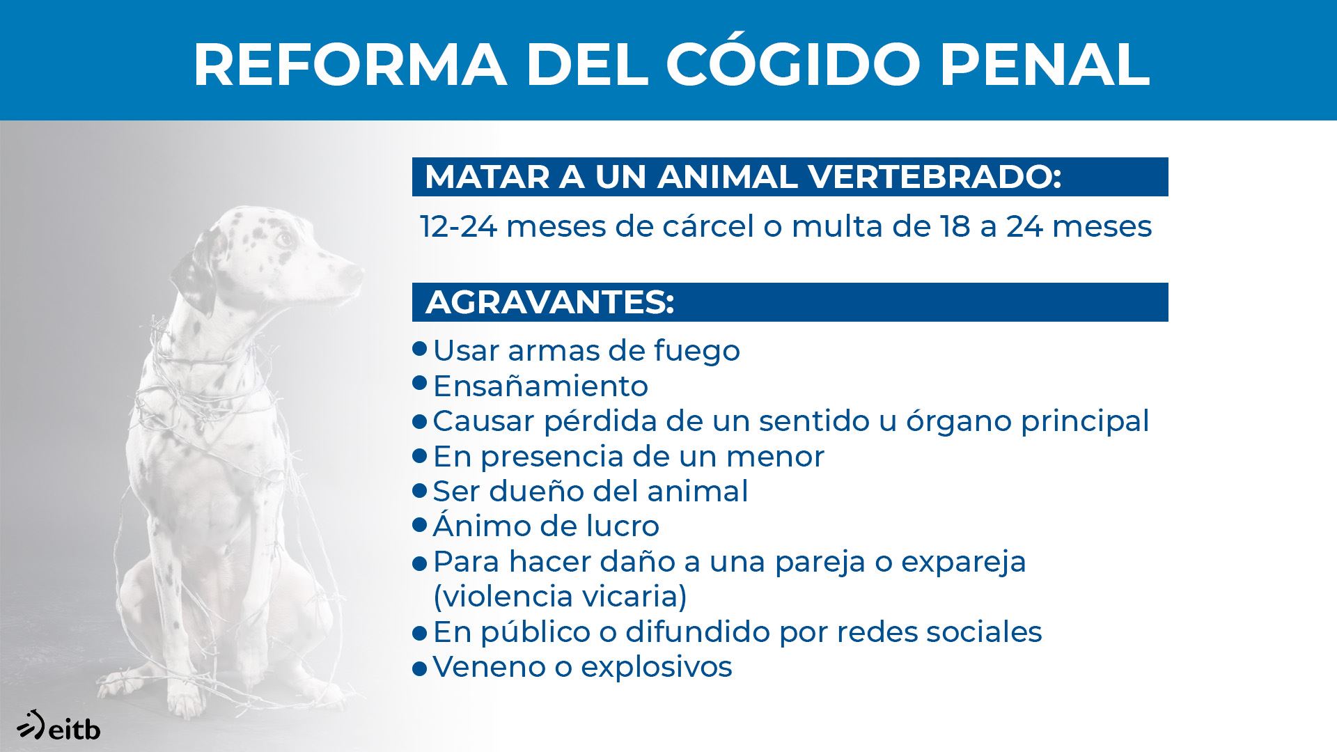 dls_animalien_reforma_codigo2_es