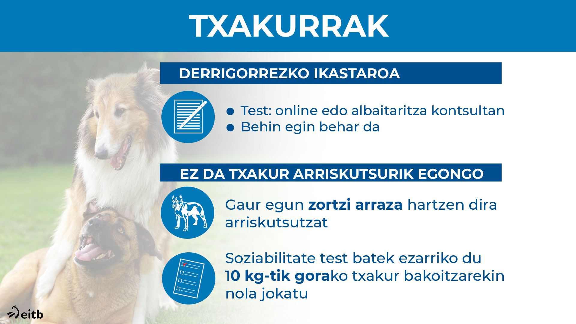 dls_animaliak_perros_eu