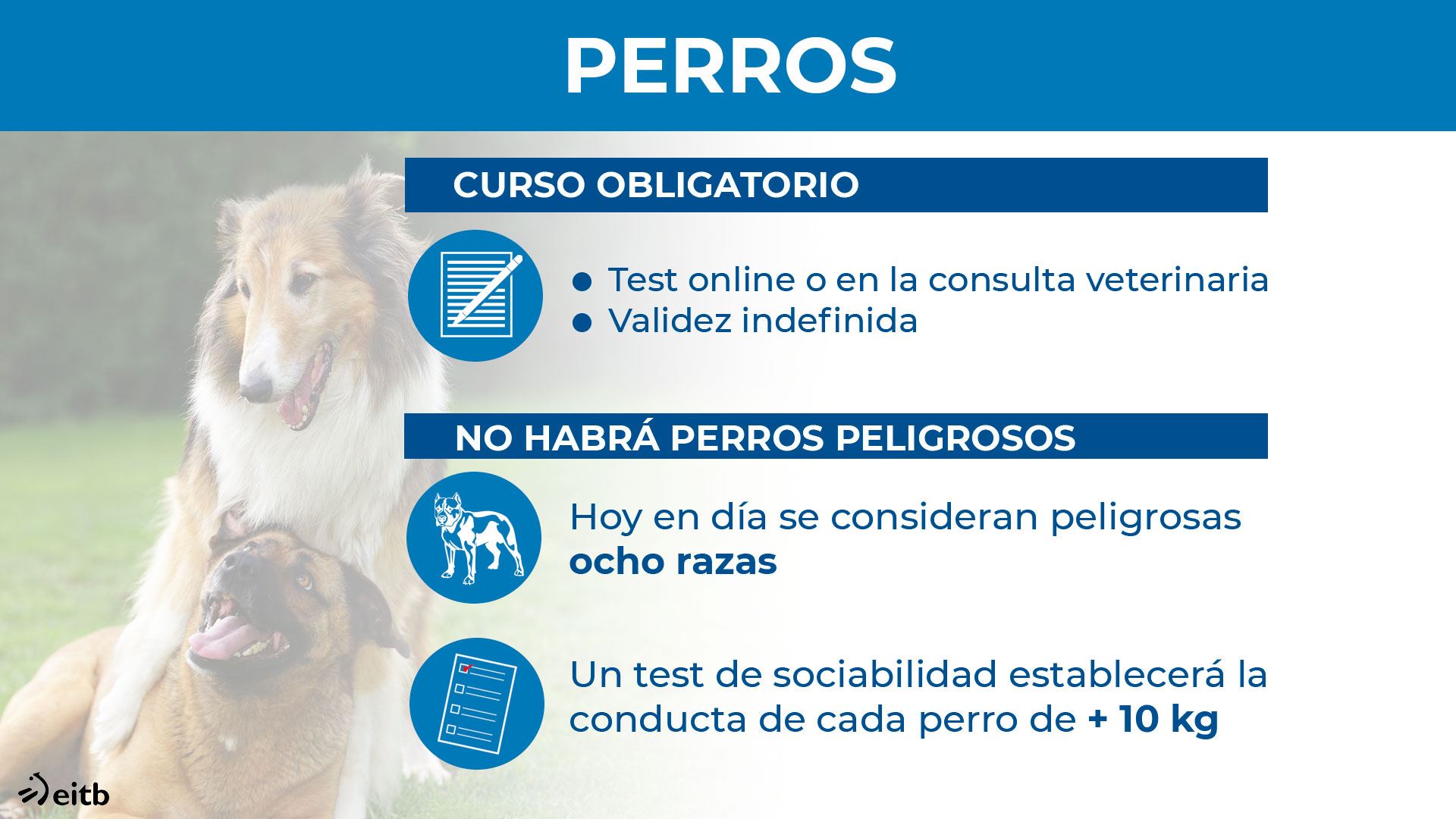 dls_animaliak_perros_es