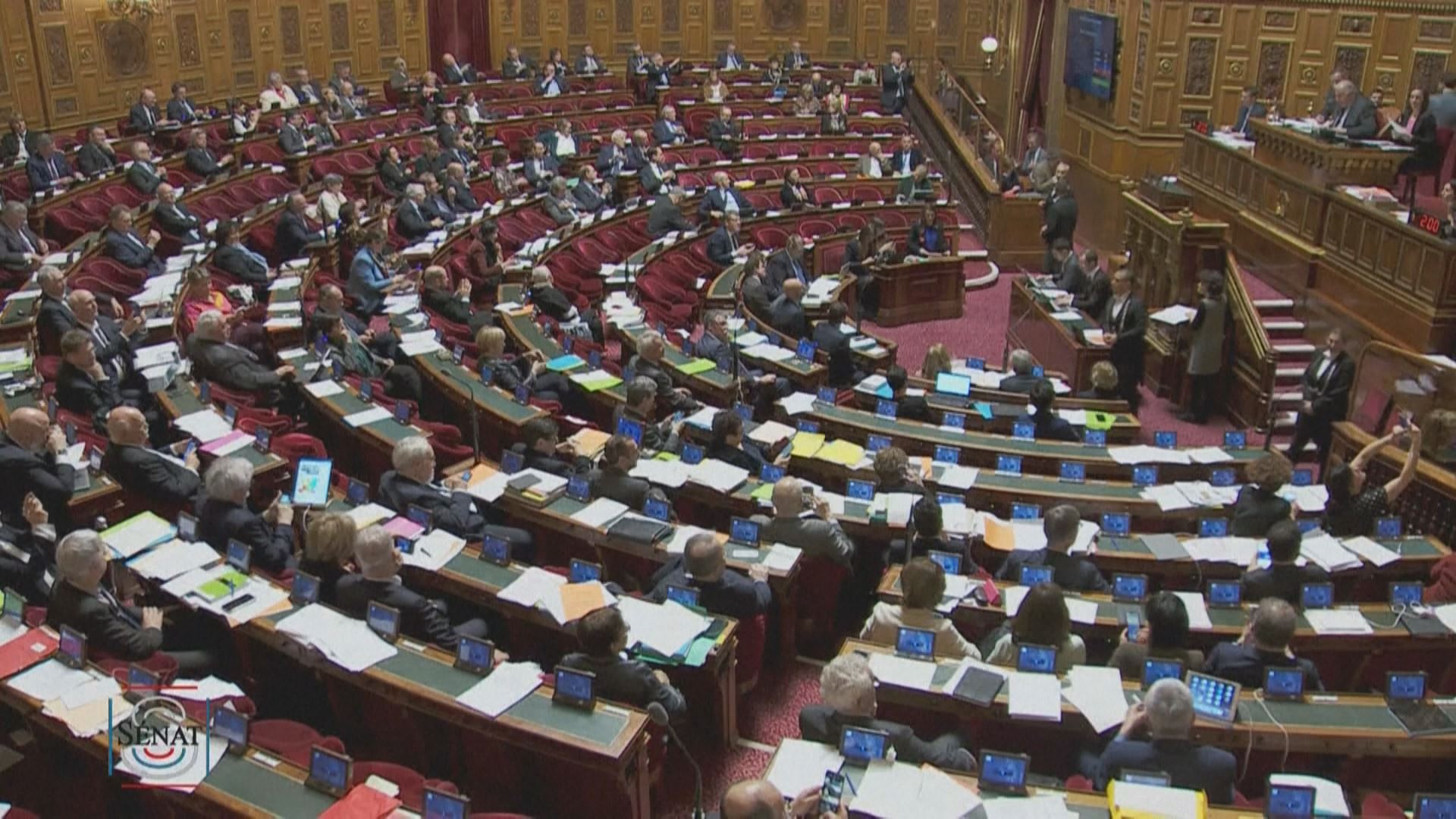 20230309091310_frantzia-senatua_