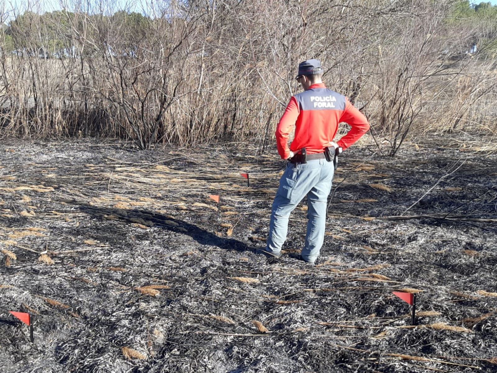 incendio cascante foruzaingoa