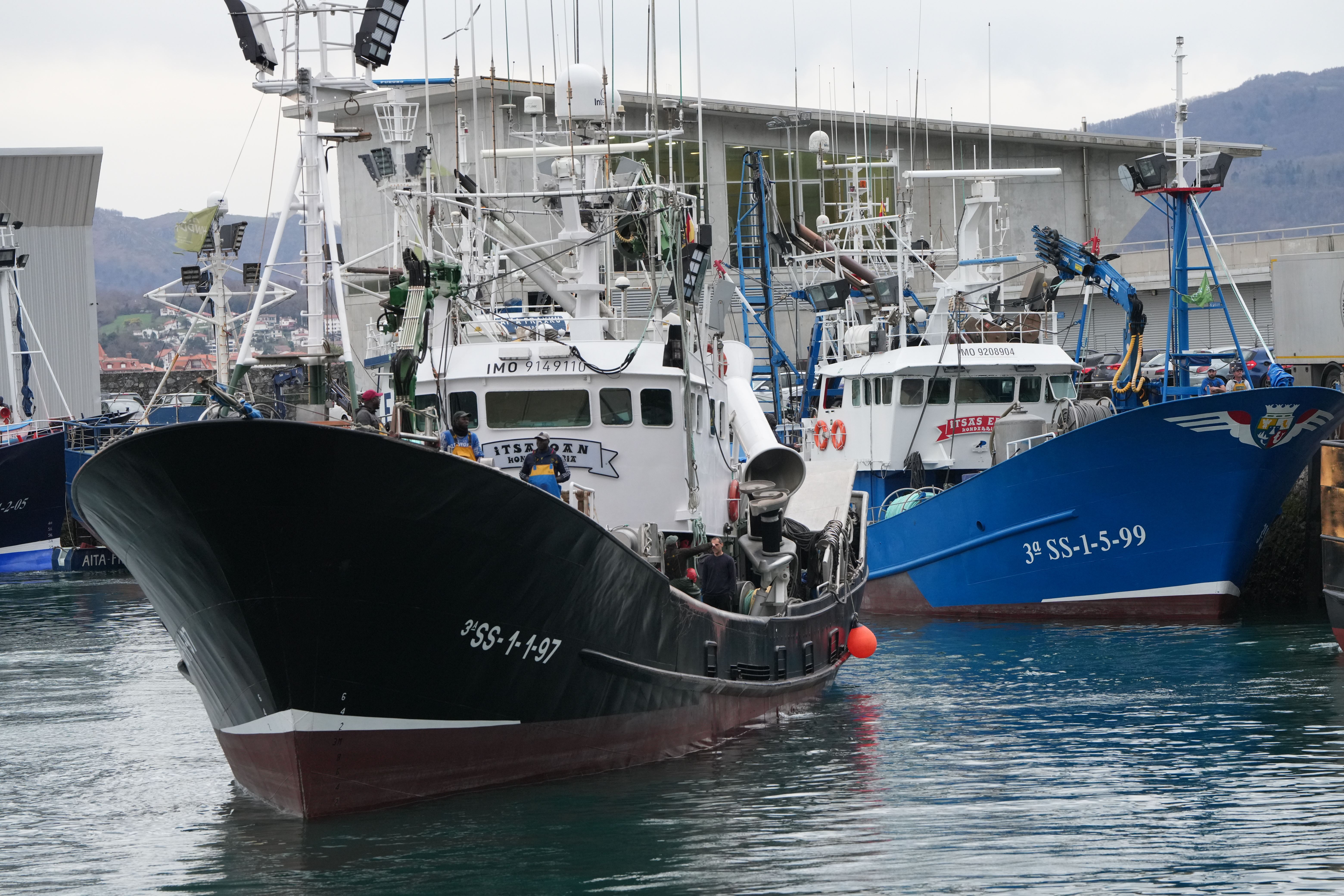 Berdela verdel Hondarribia arrantza pesca Eusko Label Irekia