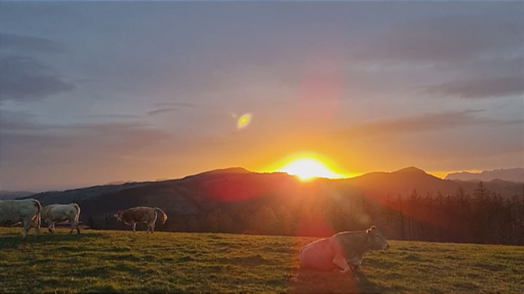 20230317104744_egunsentia-inaki-zenitagoitia_