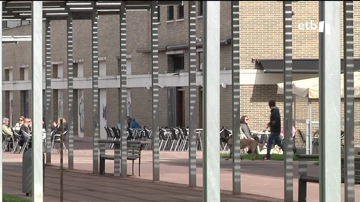 El porcentaje de euskaldunes ha pasado del 7 % al 22 % en el territorio alavés. Según la viceconsejera de Política Lingüística, Miren Dobaran, es un milagro. Los datos del uso del idioma, sin embargo, son más bajos.