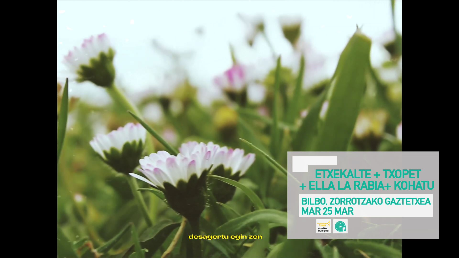 20230322111056_kulturklik-musika-bulegoa-etxekalte-ella-rabia-txopet-kohatu-zorroza_
